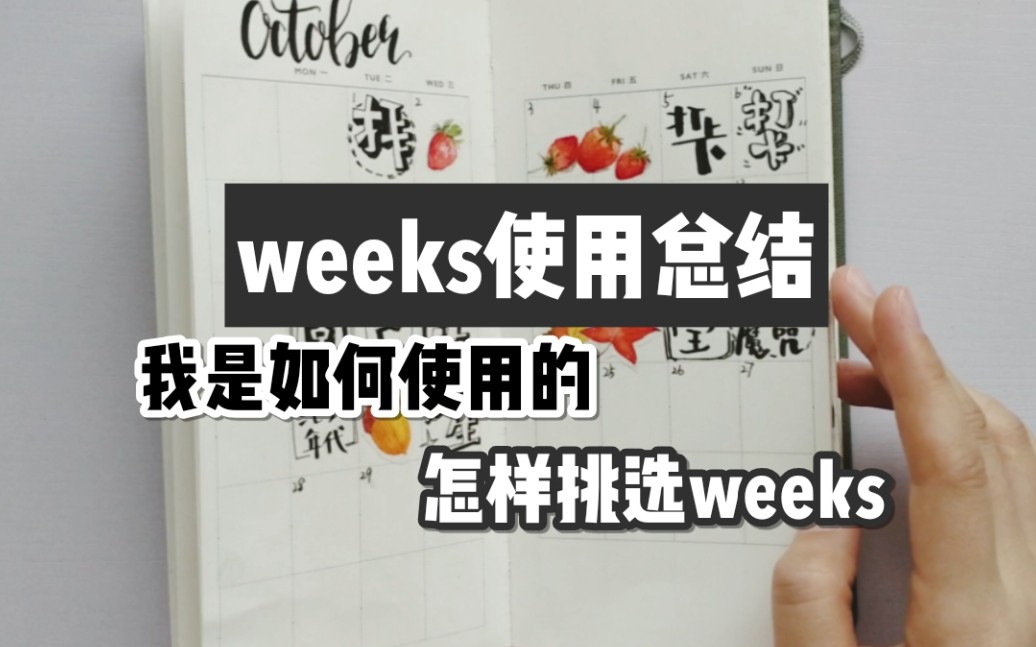 【手账】weeks使用总结|我是如何使用weeks的|怎样挑选适合自己的weeks哔哩哔哩bilibili