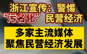 Download Video: 浙江宣传：警惕“污名化”民营经济，多家主流媒体聚焦民营经济发展