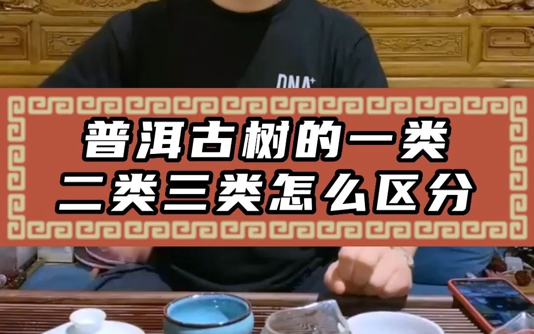 普洱古树的一类二类三类怎么区分的?哔哩哔哩bilibili