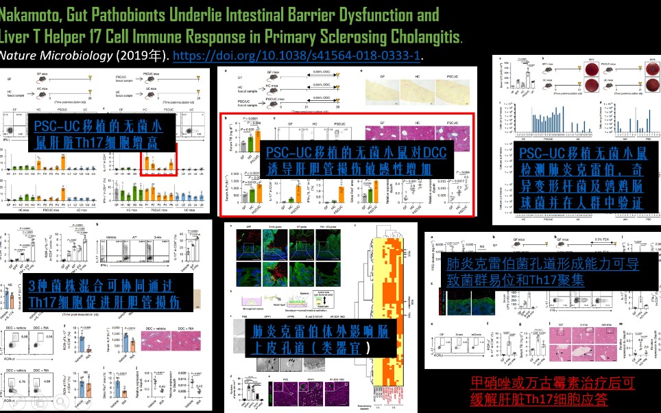 【医学生文献| 第13期】跟着Nature子刊学肠道致病菌是如何影响肝脏疾病进展的!哔哩哔哩bilibili