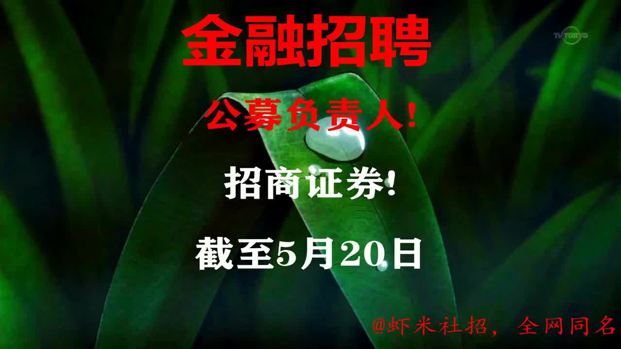 【深圳金融招聘】公募负责人!招商证券!报名截至5月20日哔哩哔哩bilibili