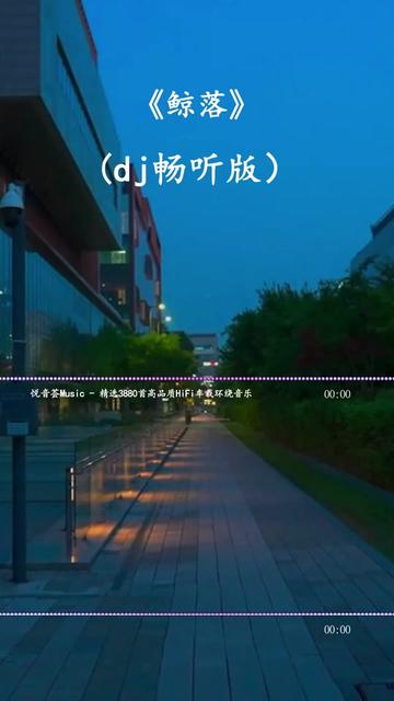 [图]#鲸落dj #中文dj #开车必备音乐 #车载音乐