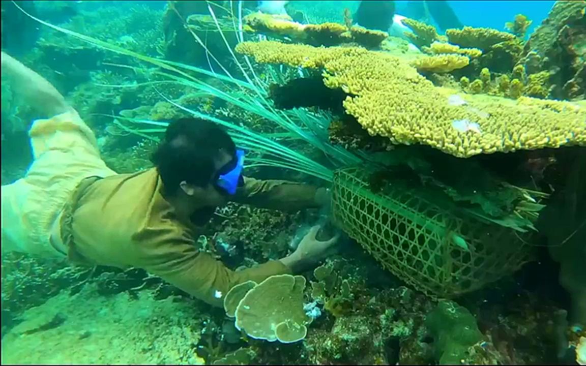 制作海底捕鱼陷阱