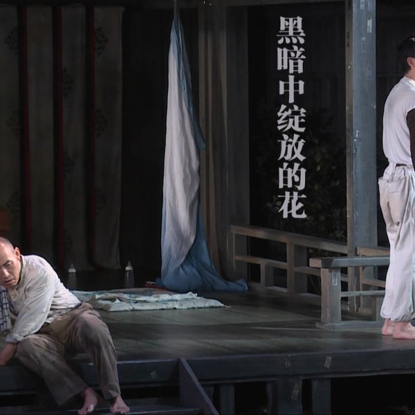 追洸中字】【松下洸平】 黑暗中绽放的花-「闇に咲く花」_哔哩哔