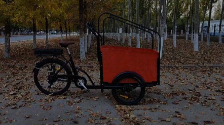 倒骑驴三轮车电动倒三轮车出口款式