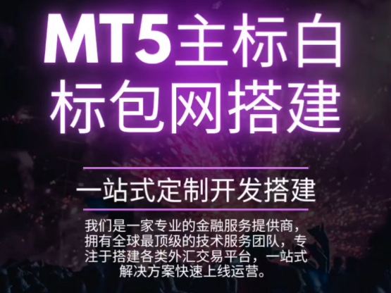 MT5正版主标白标包网搭建,行情稳定,技术全年无休哔哩哔哩bilibili