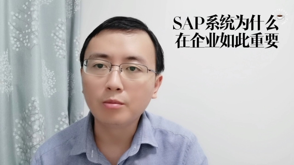 SAP系统为什么在企业如此重要?哔哩哔哩bilibili