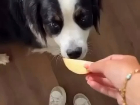 何意味
