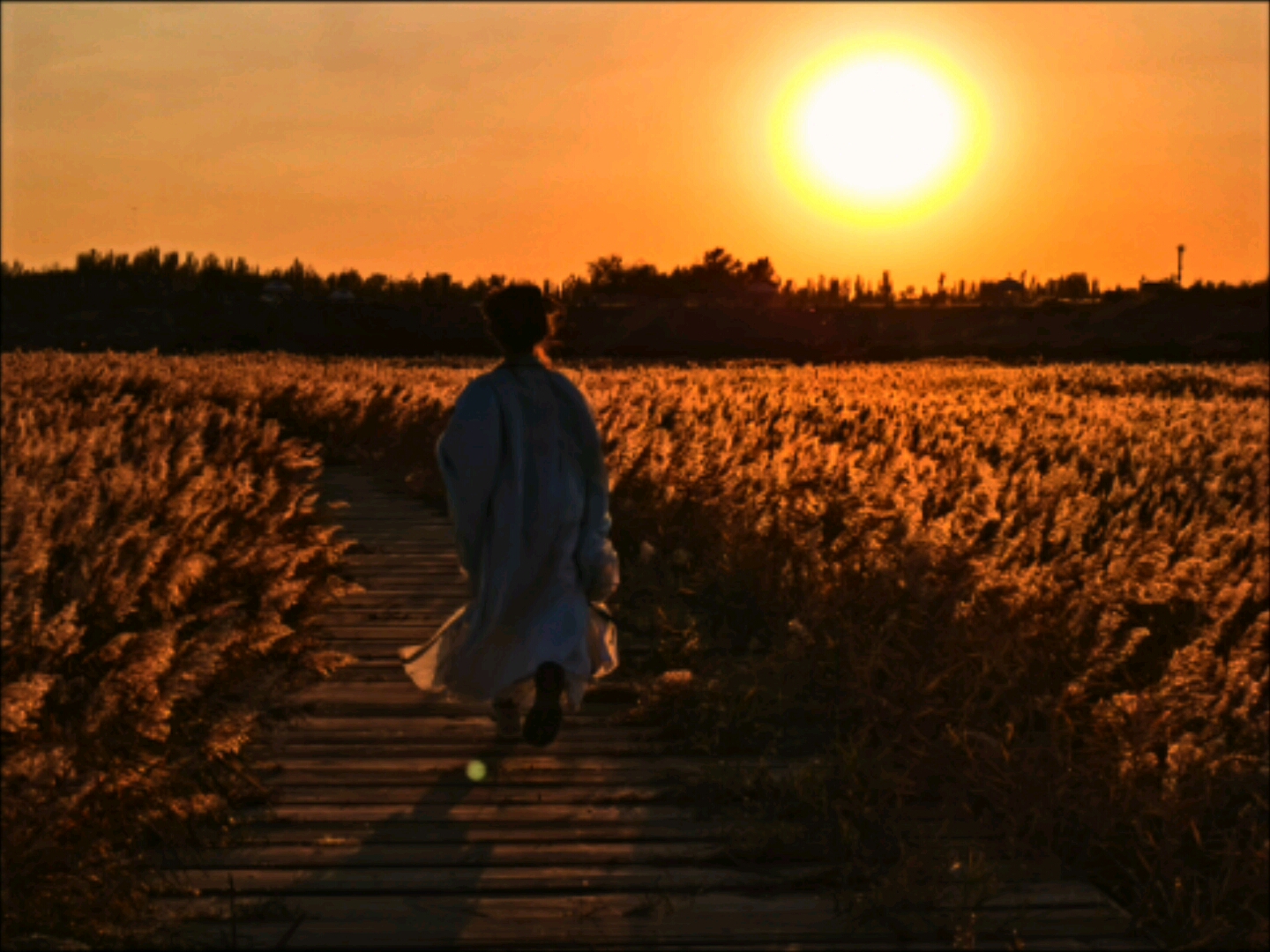 [图]落日沉溺于橘色的海，晚风沦陷于赤城的爱