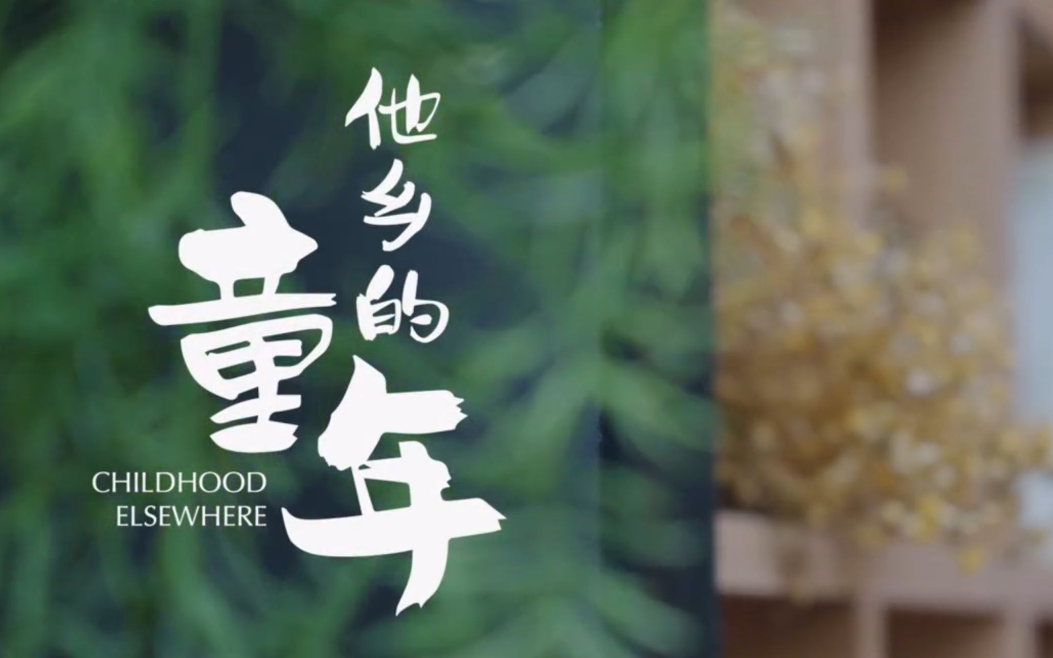 【纪录片】他乡的童年:芬兰 印度篇 childhood elsewhere (2019)