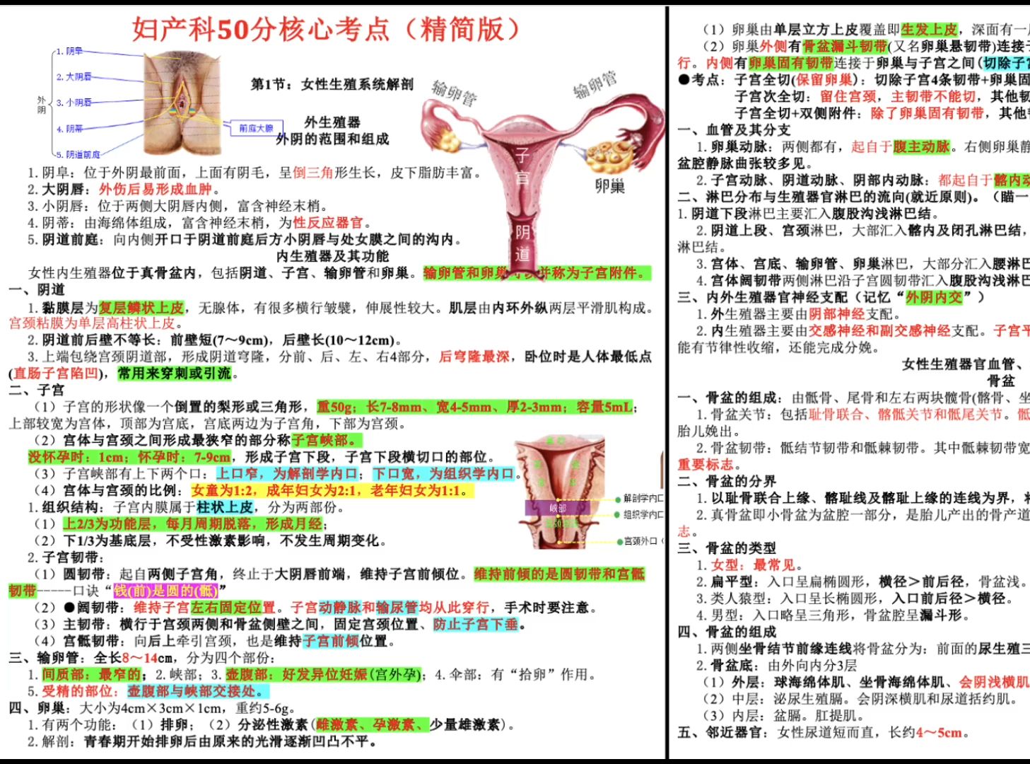 [图]24年执医笔试妇产科50分核心考点