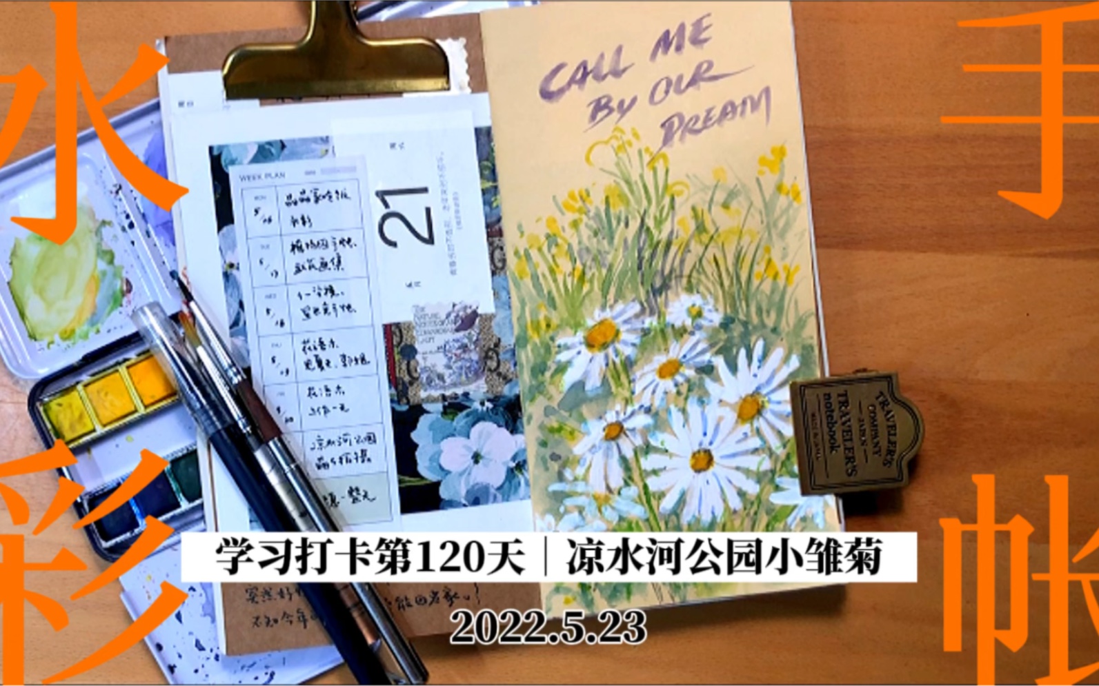 水彩手帐|凉水河公园小雏菊用手帐记录上一周的小日子,出门越来越难