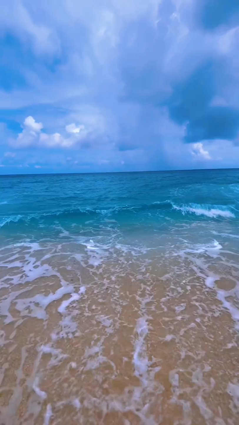 海4_哔哩哔哩_bilibili