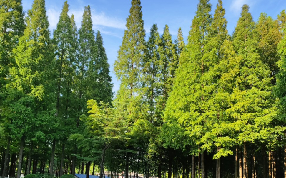 [图]《星空下的对话》这个栏目太棒了说够足够的话向外界无限的分享，只要目的不为得到回应，内心就会自在宁静，明确一切事物的源动力，就能面对最诚实的自己。