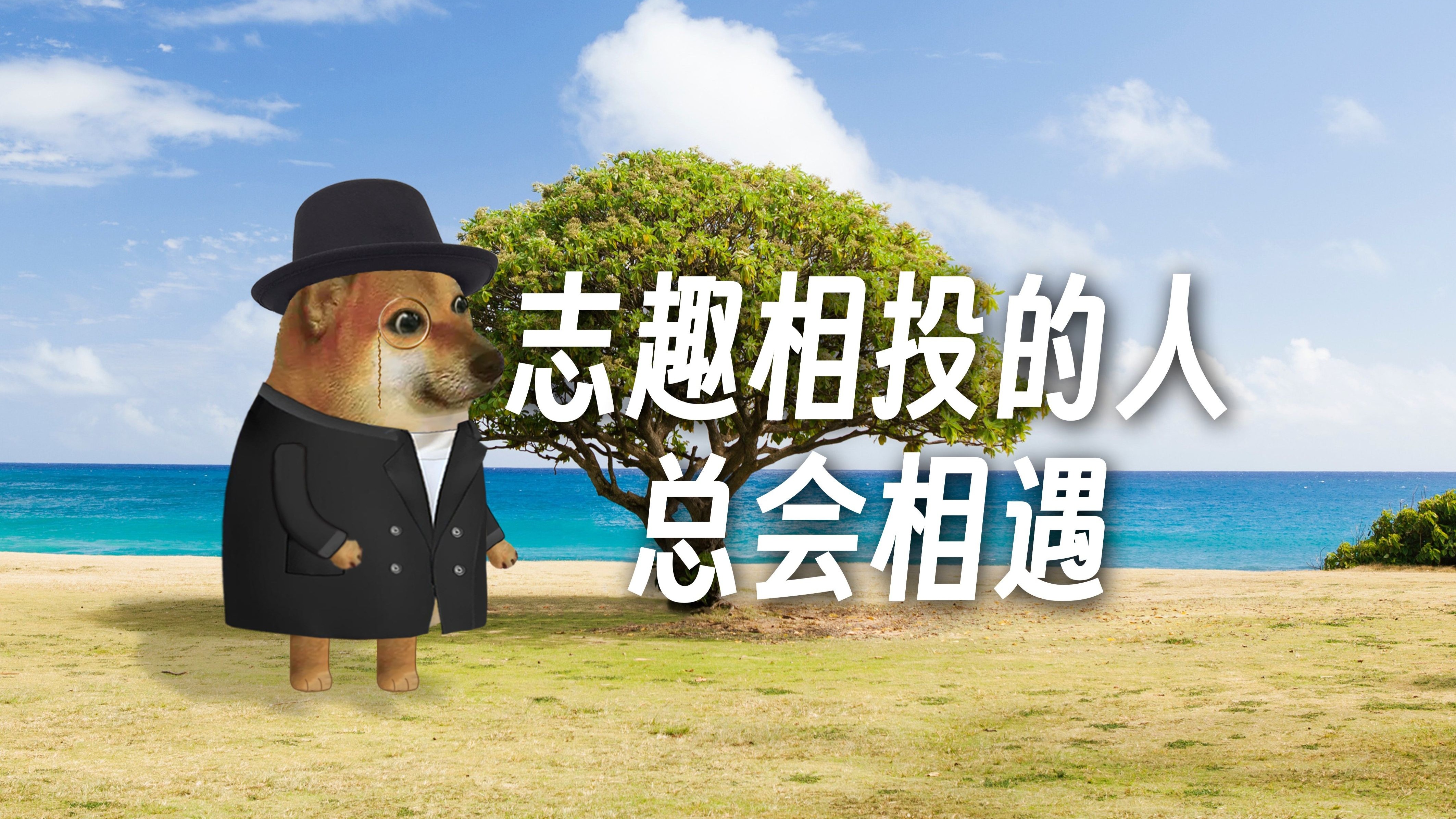 志趣相投的人总会相遇