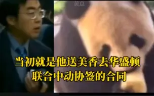 Tải video: 原来当年就是他联合中动协一起把美香和添添送去华盛顿动物园。 #大熊猫 #国宝 #旅美大熊猫美香一家