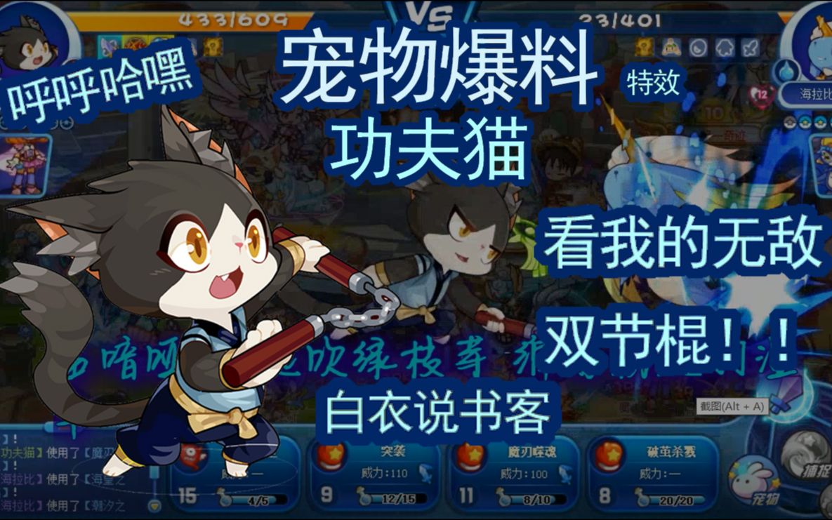 【宠物爆料】功夫猫 (白衣说书客歌词版bgm)宠物特效展示_洛克王国