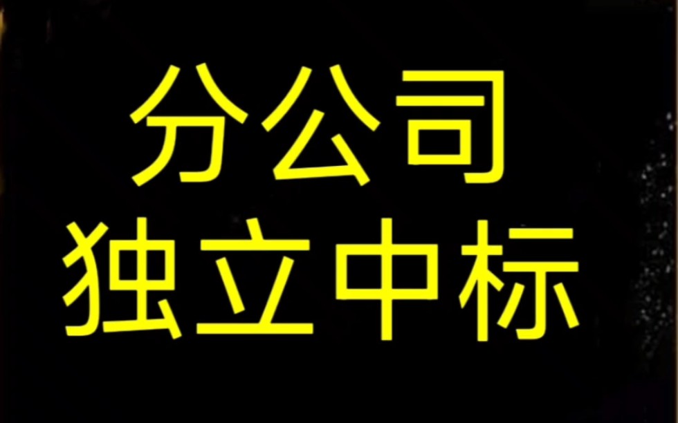 谁说分公司不能独立招投标,分公司独立运营,独立核算,工程款走分公司独立账户.独立税务.先办理后收费.18435770043哔哩哔哩bilibili