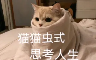 橘猫沙梨 搜索结果 哔哩哔哩 Bilibili