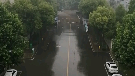 [图]学校下雨时的样子