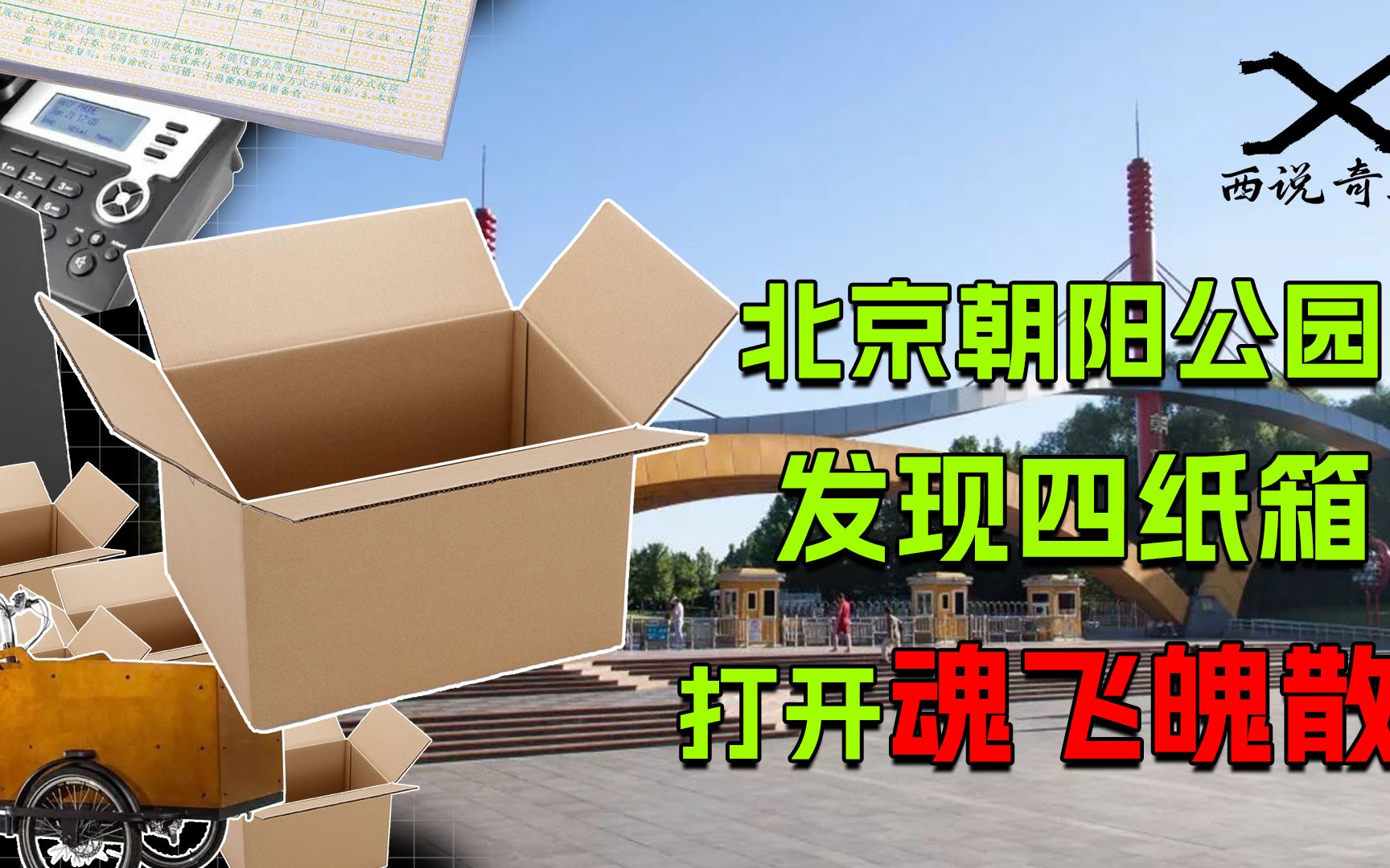 北京朝阳公园惊现4纸箱,都是人体组织,凶手为何繁华街区作案?哔哩哔哩bilibili