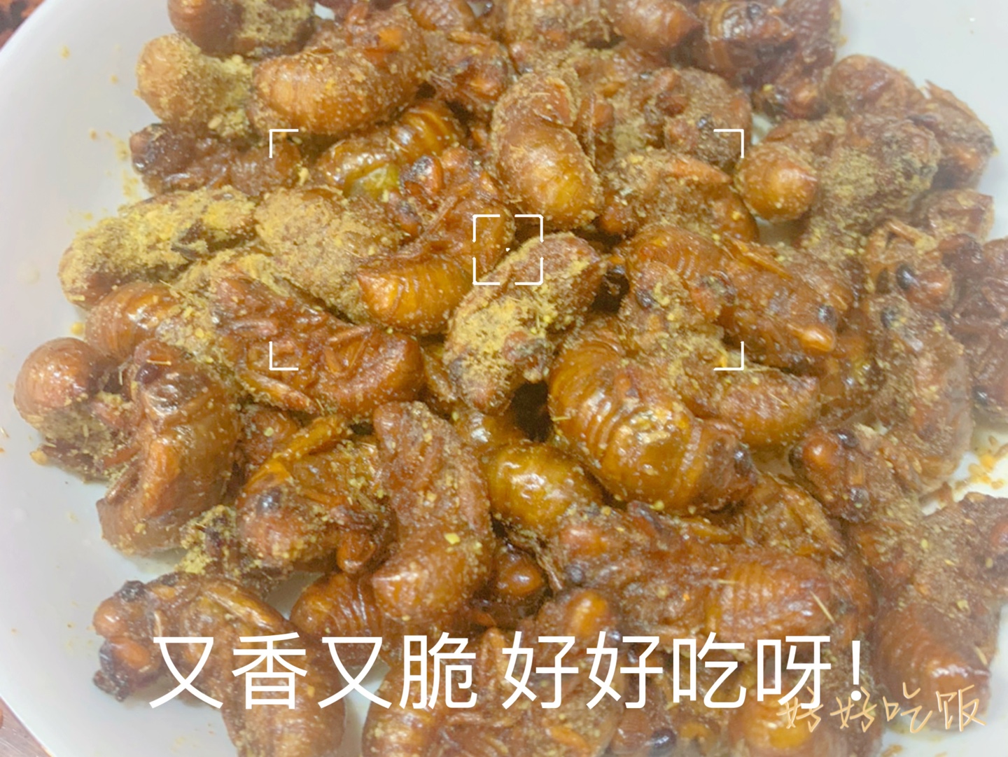 今天立秋!来盘油炸知了猴吧!