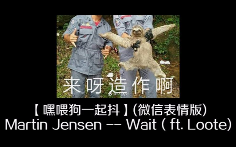 【嘿喂狗一起抖】(微信表情版)Martin Jensen  Wait (ft. Loote)哔哩哔哩bilibili