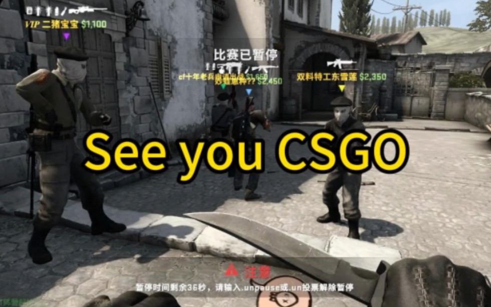 《See You CSGO》