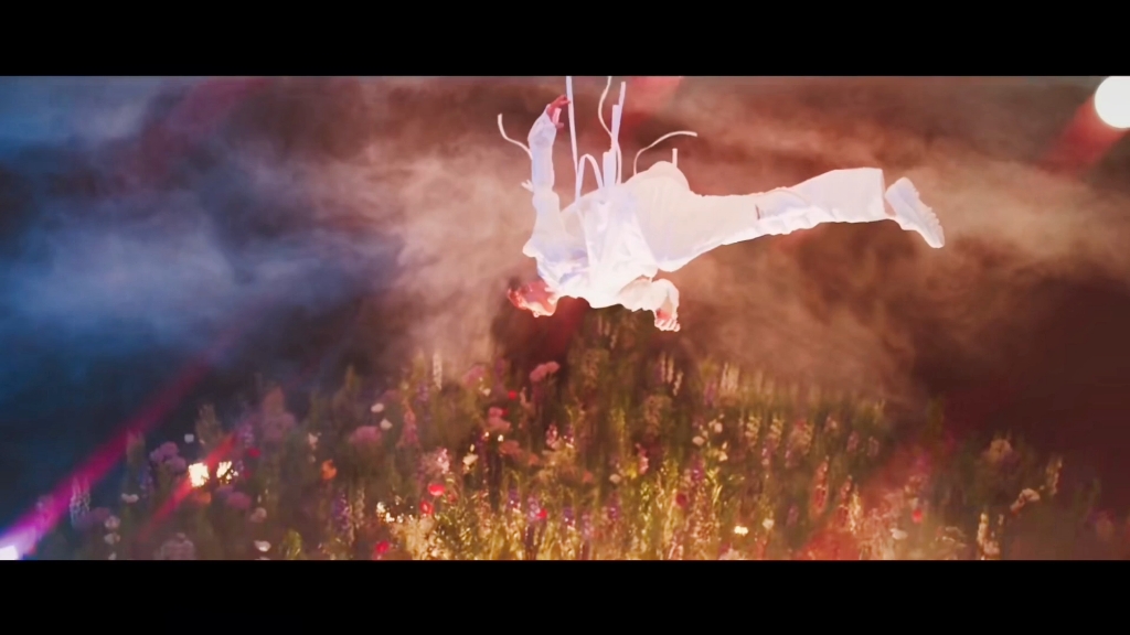 seventeen落花文俊辉混剪