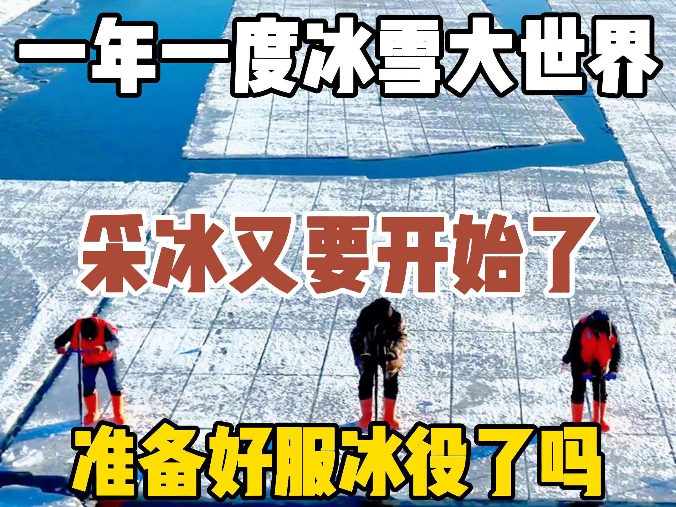 一年一度的冰雪大世界采冰又要开始,准备好服冰役了吗?哔哩哔哩bilibili