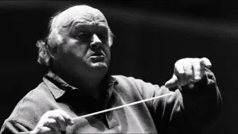 【神演】Horst Stein指挥布鲁克纳第五交响曲 2000年现场