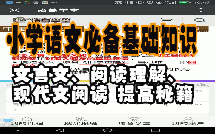 小学语文必备基础知识 文言文、阅读理解、现代文阅读提高秘籍 小升初语文 一二三四五六年级语文上下册哔哩哔哩bilibili