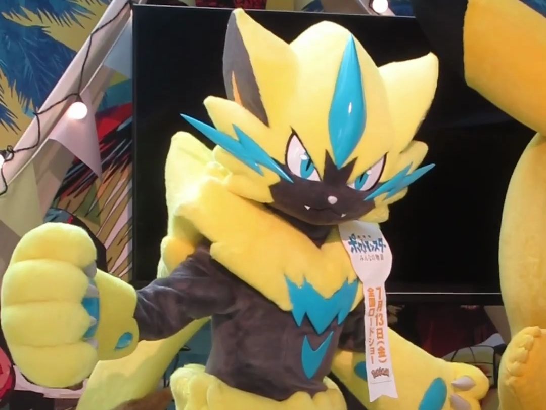 电猫的拍摄时间