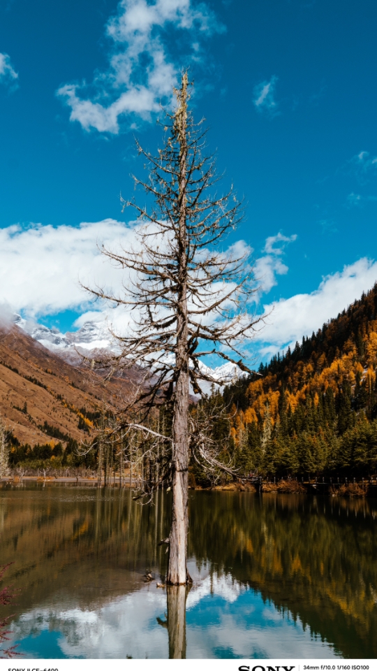 川西四姑娘山(长坪沟)