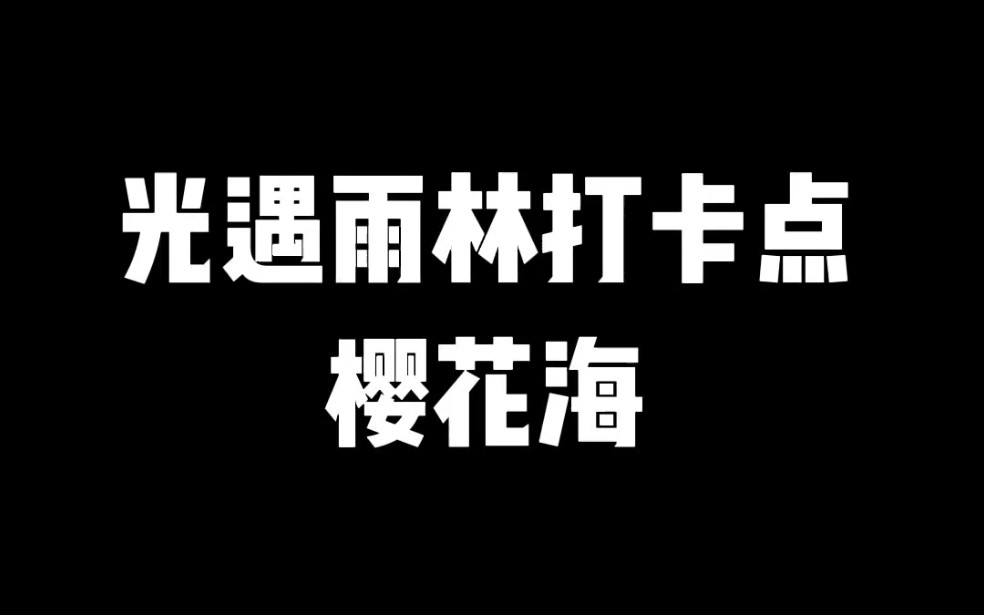 光遇雨林打卡点樱花海