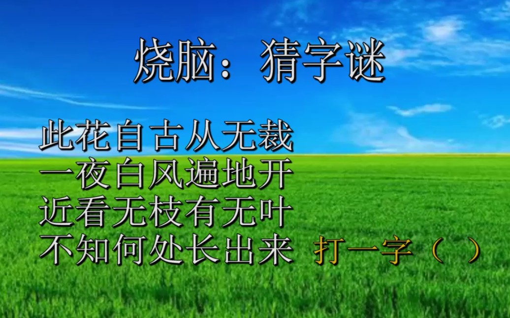 猜字谜,此花自古无裁,一夜白风遍地开,近看无枝有无叶,不知何处长出来