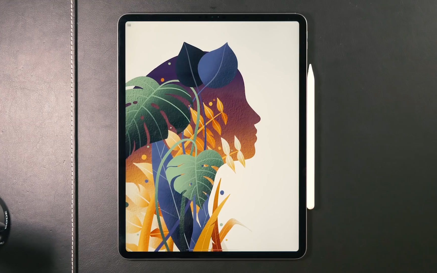 galshir插画ipadpro数字绘画最新更新 剪影