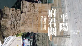 绵阳·平阳府君阙：林无静树，川无停流