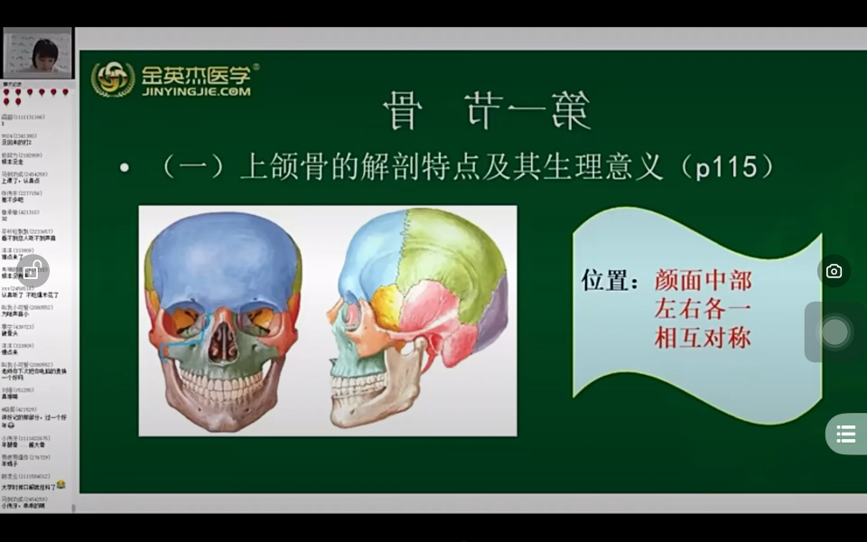 [图]上颌骨及下颌骨。（口腔解剖生理学 人卫八版 第四章 第一节）