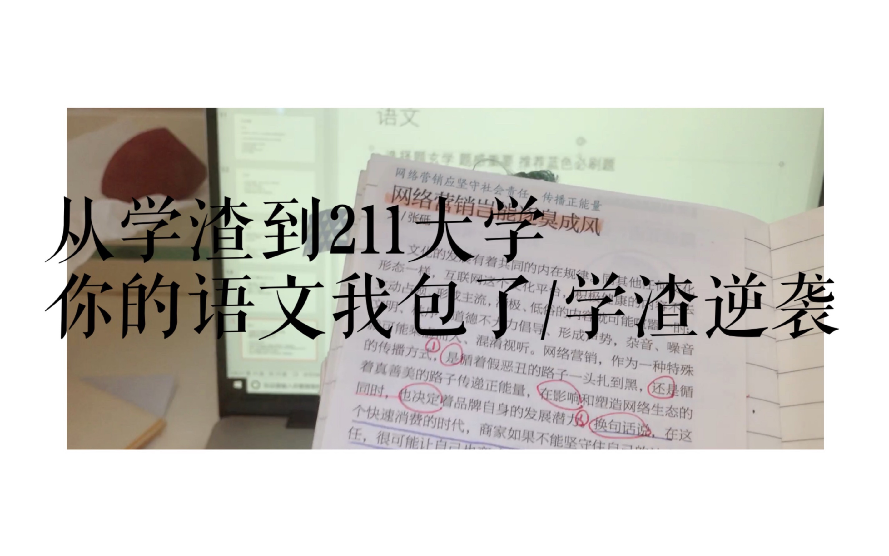 /学渣到211大学/语文到底应该怎么学/你的文言文和作文我包了/亲身吐血经验哔哩哔哩bilibili