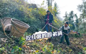 Скачать видео: 偶遇挖红薯的两姐弟，问到她母亲的时候，我心酸了！