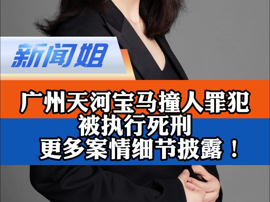 广州天河宝马撞人罪犯被执行死刑,更多案情细节披露!哔哩哔哩bilibili