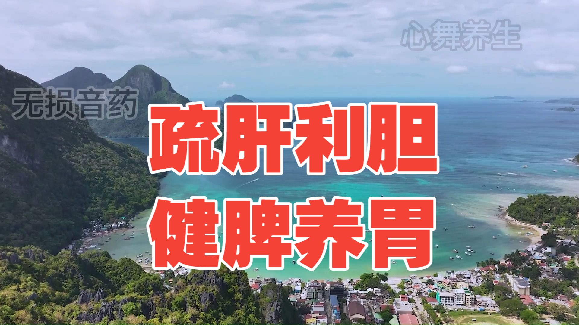 五音疗疾 疏肝利胆 健脾养胃 解郁安眠  补脾利湿，肝气郁结、失眠多梦、情绪低落、易怒、焦虑抑郁、乳房胀痛、月经不调、食欲不振、腹胀便溏、口中黏腻、浮肿萎黄常听