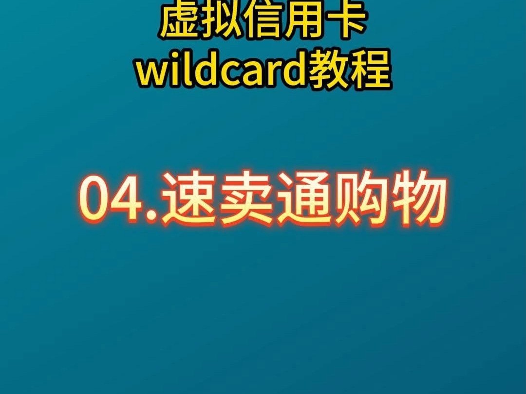 wildcard教程:如何在速卖通购物哔哩哔哩bilibili