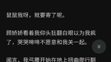 突突竹马完整版(林筱筱 肖臻)哔哩哔哩bilibili