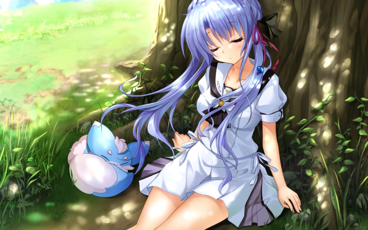 summerpockets夏日口袋女孩子旁边这只狐狸好像中暑了不如我们