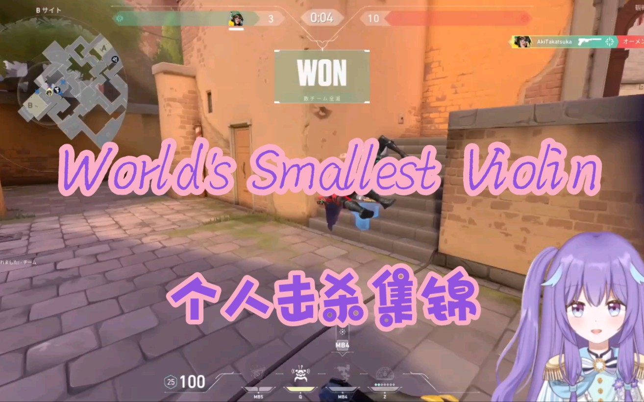 【Valorant】World's Smallest Violin个人击杀集锦 By 大桥秋Aki网络游戏热门视频