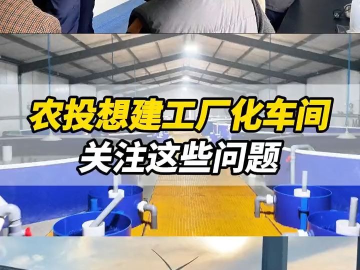 农投想建工厂化车间,关注这些问题哔哩哔哩bilibili