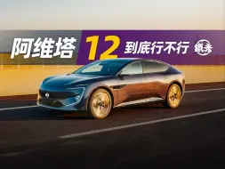 下载视频: 一个字总结阿维塔12：啊？