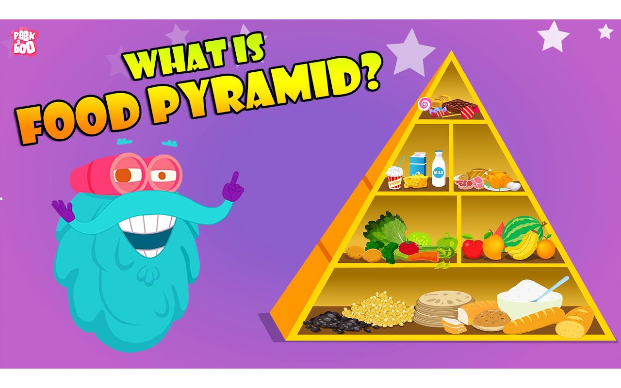 FOOD PYRAMID  How Different Foods Affect Your Body  The Dr Binocs Show  Peeka哔哩哔哩bilibili